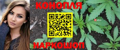 сатива Кизилюрт